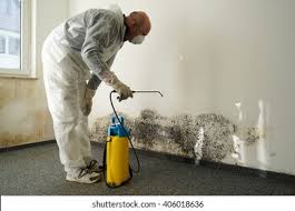 Best Mold Removal for HVAC Installations  in Covington, LA